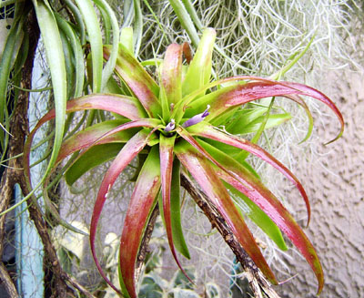 Rachel MM����....ȫ�쿩����