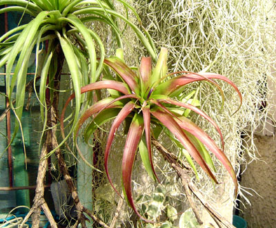 Rachel MM����....ȫ�쿩����