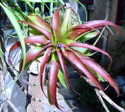 Rachel MM����....ȫ�쿩����