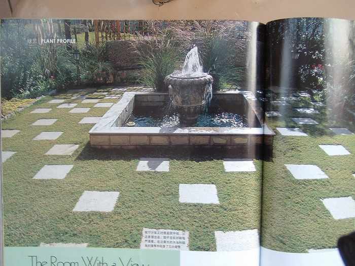 ��һ�ƣ���һ��������Ŀ��������˳�