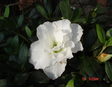 ��������ž�~