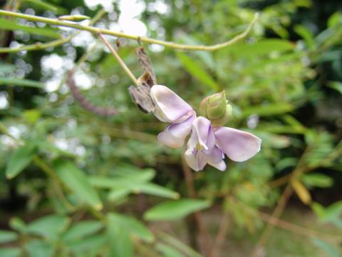 ����ֲ��԰��2