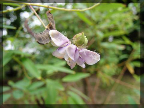 ����ֲ��԰��2