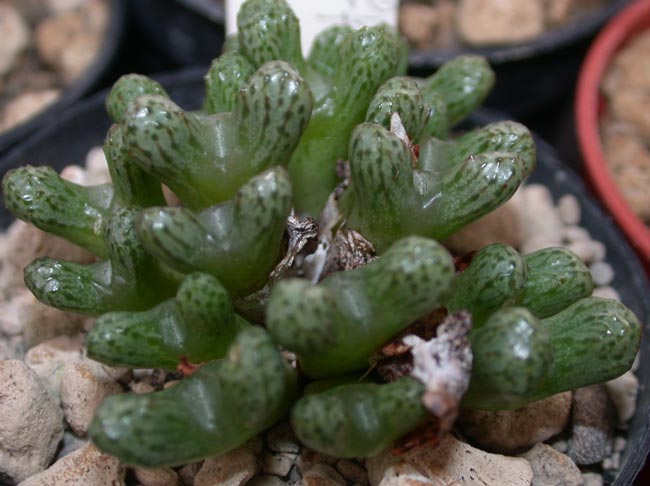 [����]��׶����---55¥��ʼ������ͨ��---