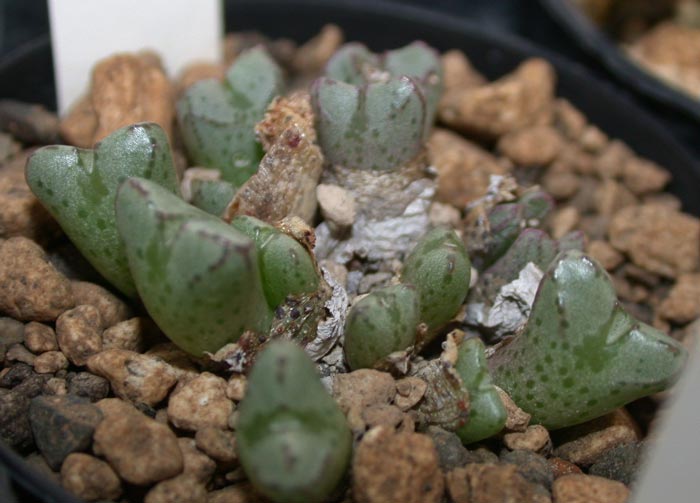 [����]��׶����---55¥��ʼ������ͨ��---