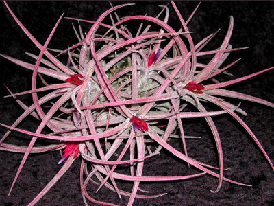 [����]��ؿ����������