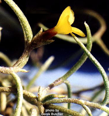 [����]��ؿ����������