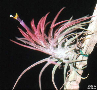 [����]��ؿ����������