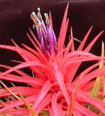 [����]��ؿ����������