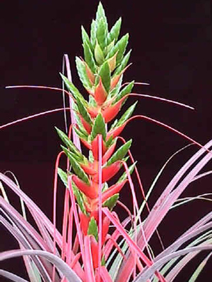 [����]��ؿ����������