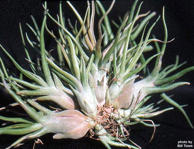 [����]��ؿ����������