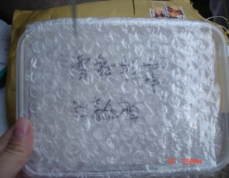 żҲ���������ϼҵ�С����~~