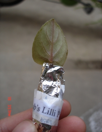 żҲ���������ϼҵ�С����~~