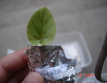 żҲ���������ϼҵ�С����~~