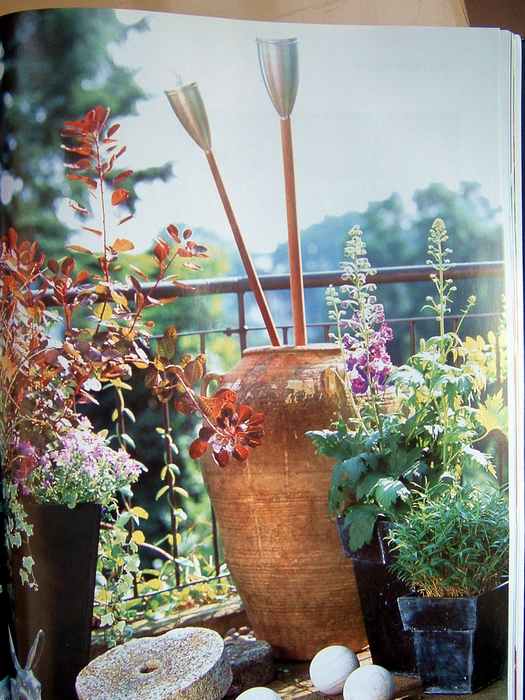 ��һ�ƣ���һ��������Ŀ��������˳�