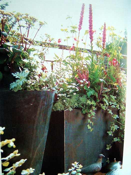 ��һ�ƣ���һ��������Ŀ��������˳�