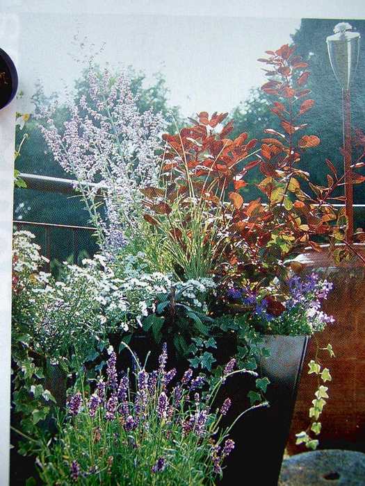 ��һ�ƣ���һ��������Ŀ��������˳�