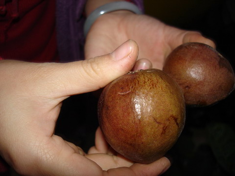 �²¿�����ʲô��~~