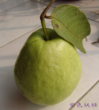 �²¿�����ʲô��~~