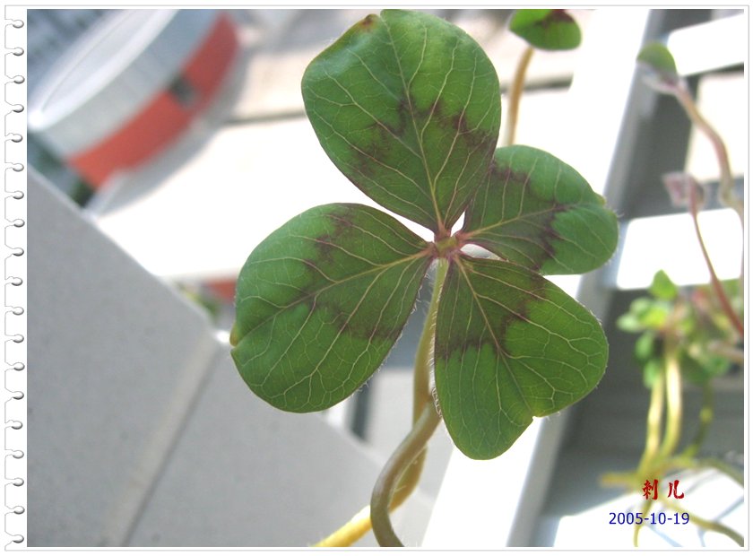 ˯�ѵ�����