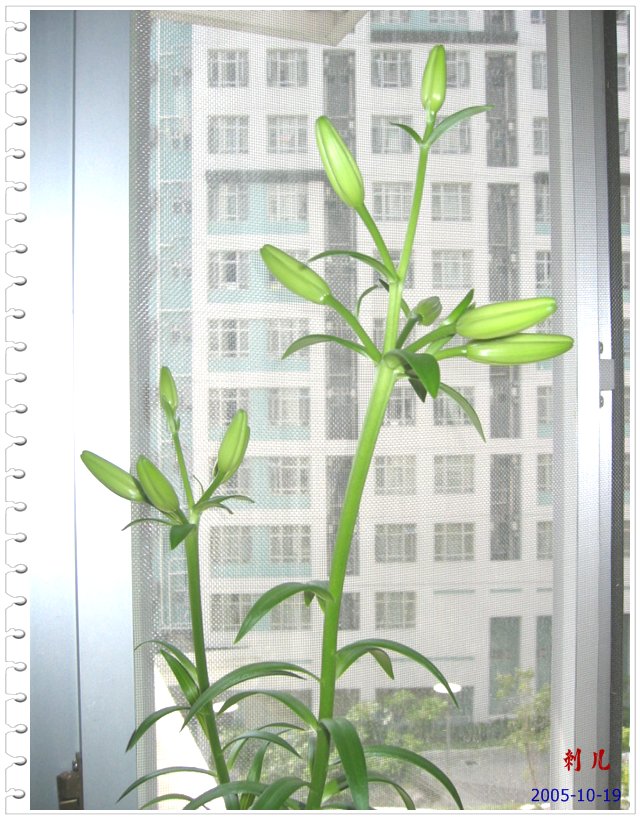 ˯�ѵ�����