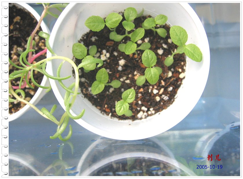 ˯�ѵ�����