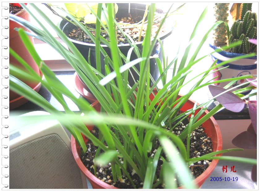 ˯�ѵ�����