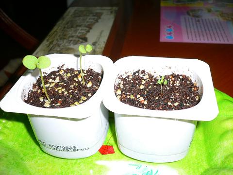 ���ᵹ�������ʯ�񿪻���--�ֿ���һ��