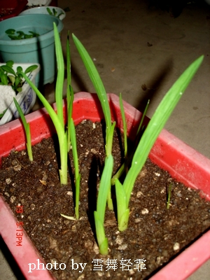 ��С����ȫ��¼��9.14��ѿPP��