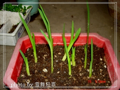 ��С����ȫ��¼��9.14��ѿPP��