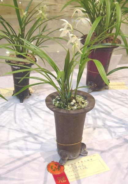 è�䣬�뿴��