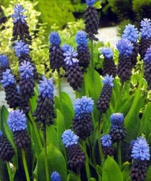 ˯�ѵ�����10��19�ո��£�