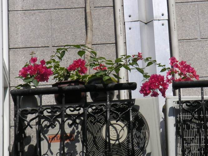 ������̨�ϵ�����÷