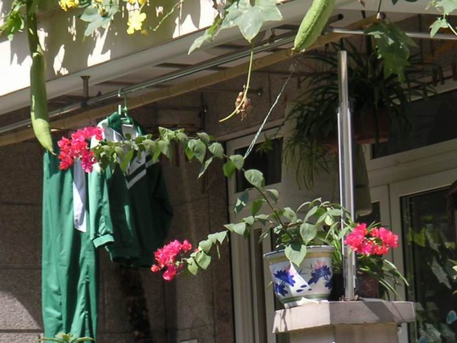 ������̨�ϵ�����÷