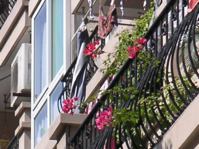 ������̨�ϵ�����÷