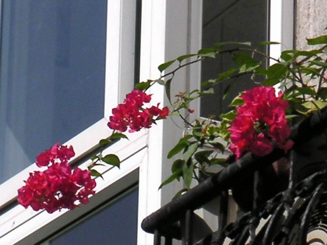 ������̨�ϵ�����÷