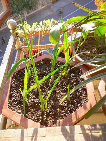 ��С����ȫ��¼��9.14��ѿPP��