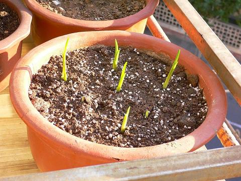 ��С����ȫ��¼��9.14��ѿPP��