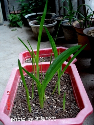 ��С����ȫ��¼��9.19�ո��£�