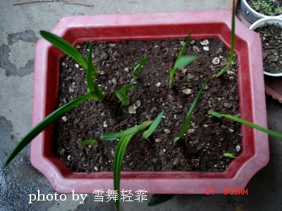 ��С����ȫ��¼��9.19�ո��£�