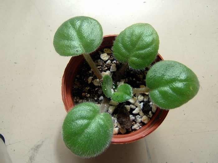 żҲ��������---���ҵ�����������ļ����գ�