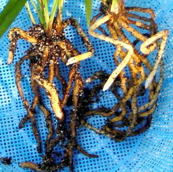 è�䣬�뿴��