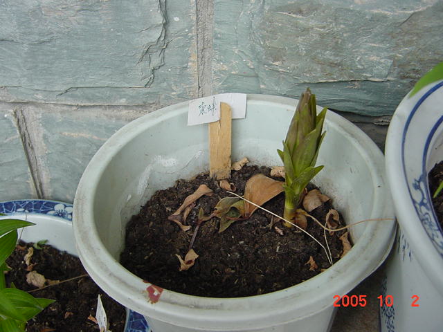 ð������ĸ��£����֡�������--�����ﲥ�滨԰�Ӽ�