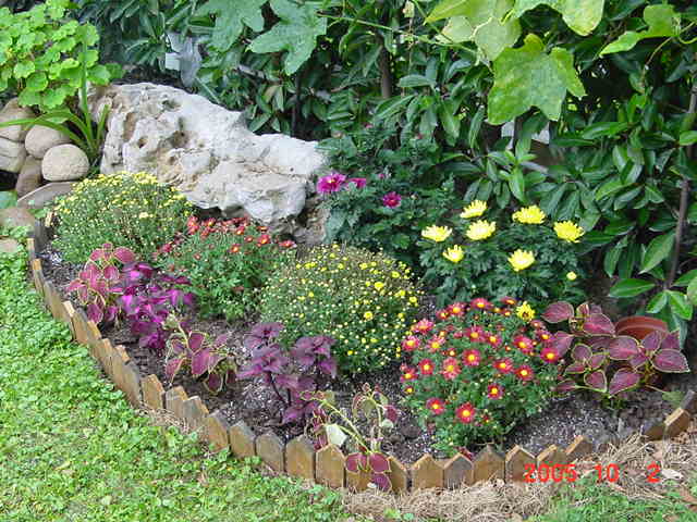 ð������ĸ��£����֡�������--�����ﲥ�滨԰�Ӽ�