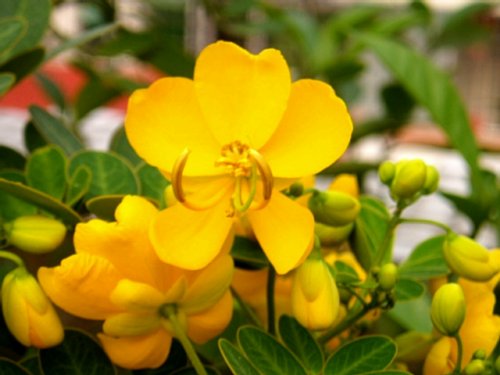 ��ʵ�ۼ���ľ����