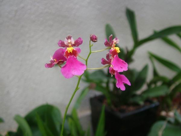 ���������������ˣ�