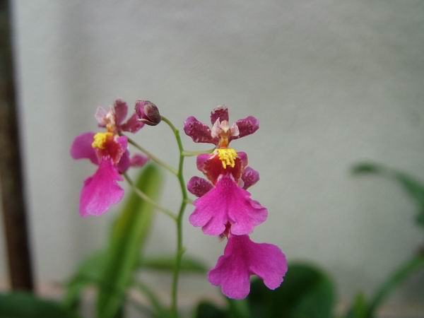 ���������������ˣ�