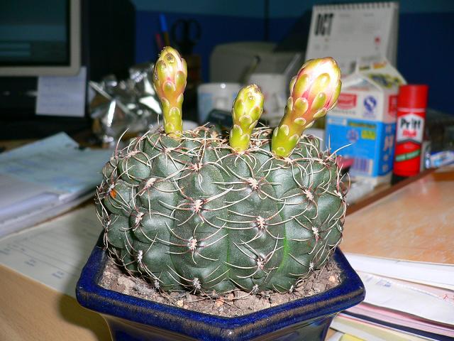 ��������ɶ��