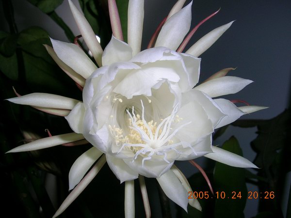 ɱ�ּҵġ�ׯ�ڵء�����ջ�(꼻���Ҫ�����ˣ�����ͼƬ10-22)