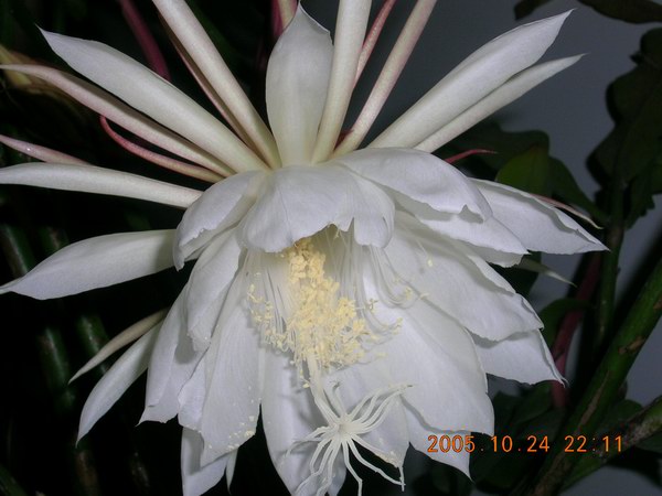 ɱ�ּҵġ�ׯ�ڵء�����ջ�(꼻���Ҫ�����ˣ�����ͼƬ10-22)